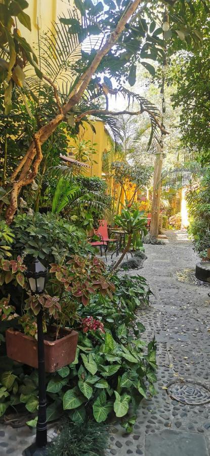 Hotel Rosa Morada Tlaquepaque Exterior photo